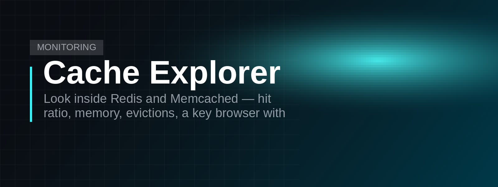 Cache Explorer screenshot