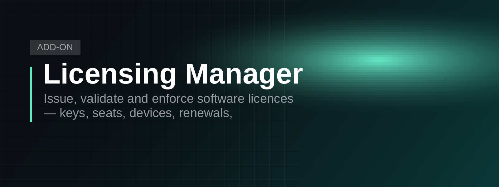 Licensing Manager screenshot